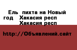 Ель, пихта на Новый год - Хакасия респ.  »    . Хакасия респ.